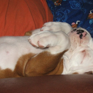 Crashed Out