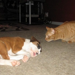 Gary Sneaks In For A Peek