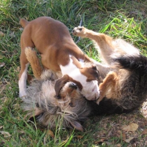 At Play