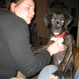 DOGS028