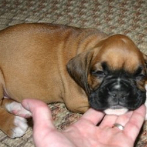 Our new baby!!