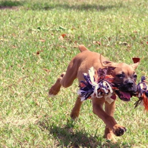 Jenna and toy