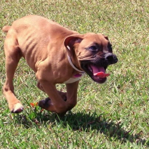 Jenna Running
