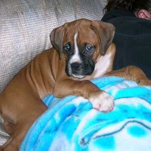 Oh so cute!