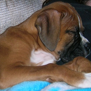No more pictures. Must sleep.