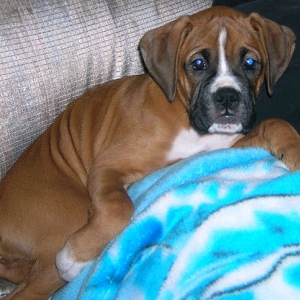 10 weeks old already!