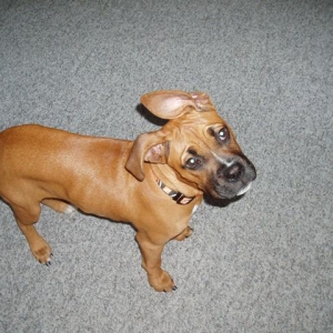 Did you say something?!?!?