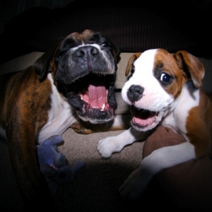 Harry & Ruby pulling funny faces