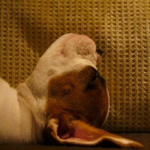 Ruby-doo!!