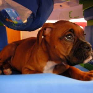 Our Baby!