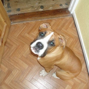 jake waiting to use the bathroom!