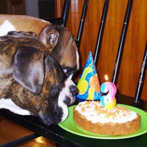 Happy 3rd Bday Cassius!
