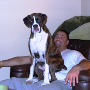 I think I am a lap dog!