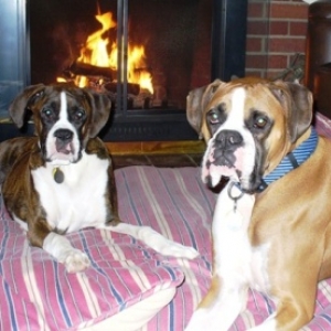2006 Christmas card