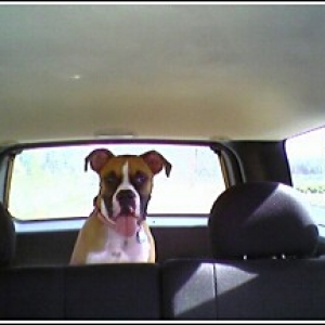 "Take me to 53th and Popular, Pronto!"