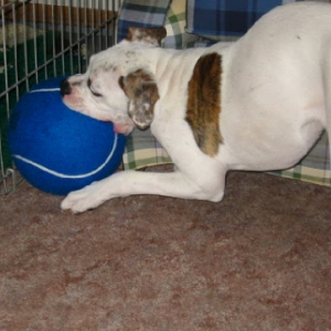 Why is this ball so big