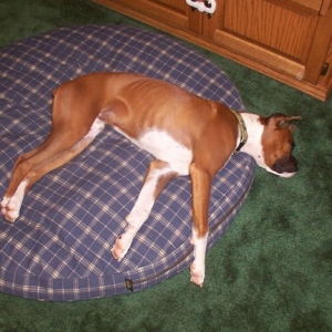 Tired Boy!!