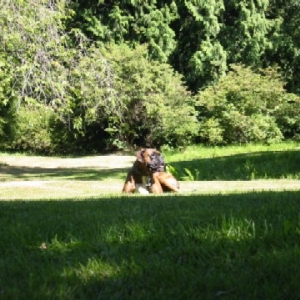 Diego at the UW Aboretum