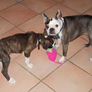 But that was MY toy, Mom!