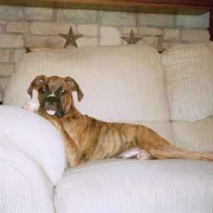 Cuatro on the couch