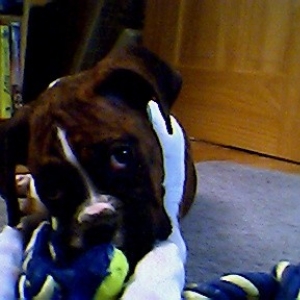 Little Miss Prescious at play
