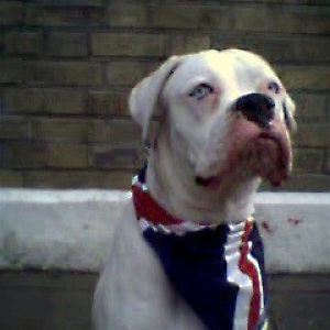 Proud to be British
