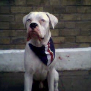 what do u want now??