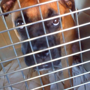 for real guys, let me out.  Guys?  Hey guys!?!