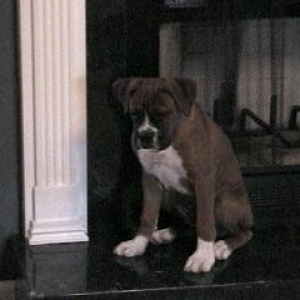 Samson