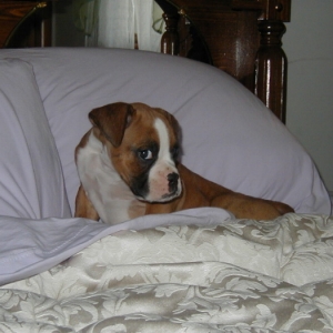 Your not making me get down, are you??