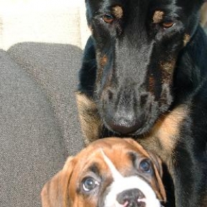 The first meeting