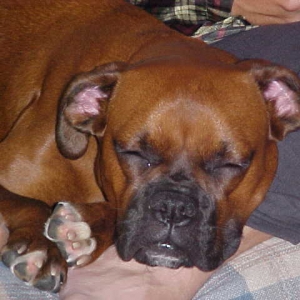 Sleepy Time