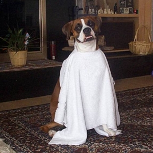 in the towel