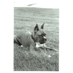 Black & White of Kali