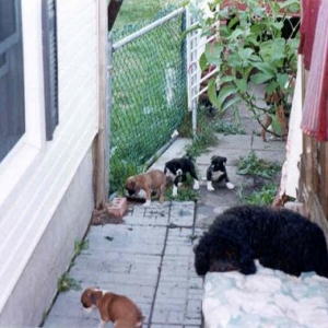 All kinds of trouble!