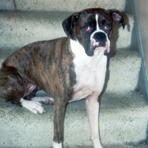 Bebe on the stairs