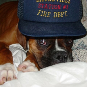 Just Like Dad