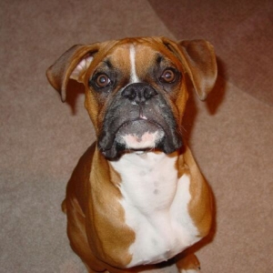 Sittin Pretty For Mom