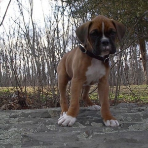 My Baby Picture