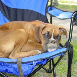 My 1st Camping Trip