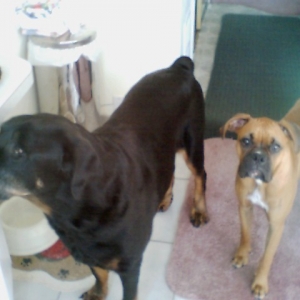My Kids