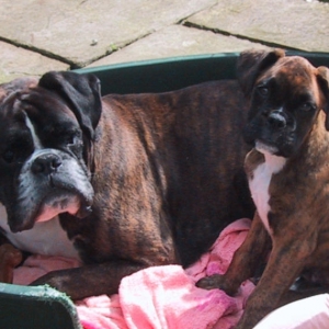 Best Friends