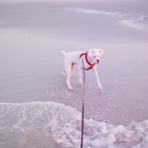 Keep away from me, you moving water!