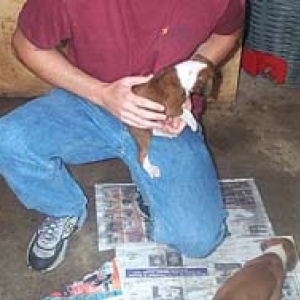 hey! put me down i wasnt done playing yet!