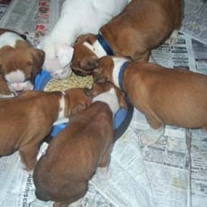 move over boys i gotta eat too