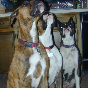 Mom and her kids
