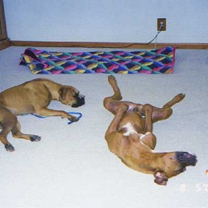 This is how we always sleep!