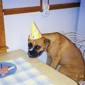 Jackson's 1st birthday!!!!!!!
