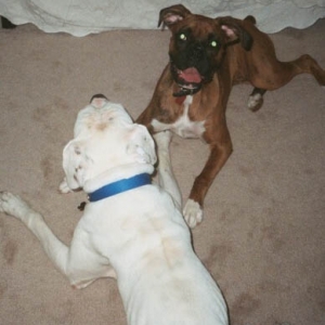 Finn and his girlfriend Trudy
