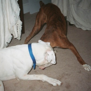 Finn and Trudy